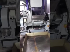 Λαστιχένιος Kneader με το διπλό καπάκι υδραυλικής πίεσης